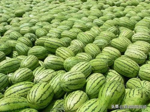 吃大瓜.com,网络热门话题的聚集地