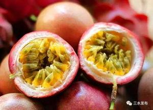 水果佛山瓜怎么吃,探索水果新风味