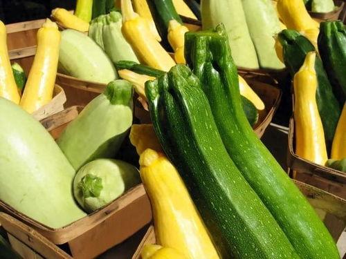 宜春幼专吃瓜,揭秘校园热点背后的真相