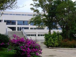 云南西南林大学吃瓜,揭秘校园里的“吃瓜”文化