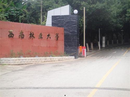 云南西南林大学吃瓜,揭秘校园里的“吃瓜”文化
