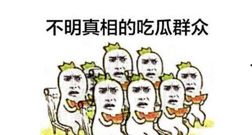 吃瓜群众mc玩家,揭秘虚拟世界的欢乐与疯狂