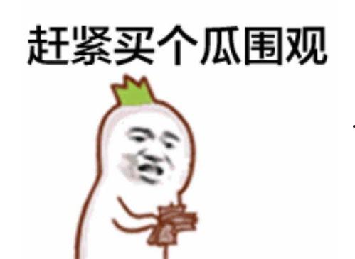 吃瓜群众mc玩家,揭秘虚拟世界的欢乐与疯狂