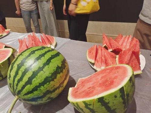 象山吃瓜,吃瓜也能吃出地道风味