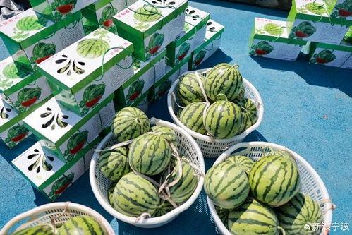 象山吃瓜,吃瓜也能吃出地道风味