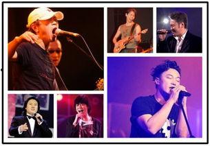 吃瓜歌手总决赛名单,星光熠熠，谁能脱颖而出？