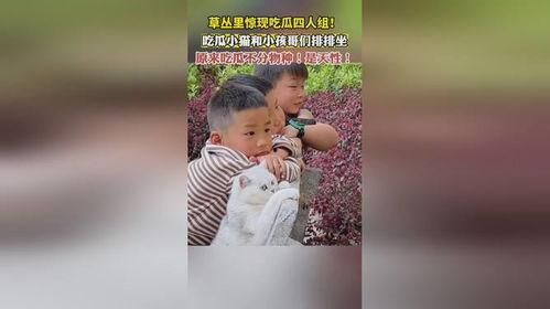 吃瓜四个视频,四部热门视频带你领略吃瓜乐趣