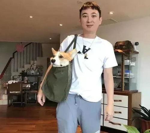 吃瓜baby黄晓明,吃瓜群众眼中的娱乐圈“宝宝”