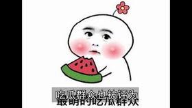 吃瓜落儿由来,民间智慧的结晶与传承